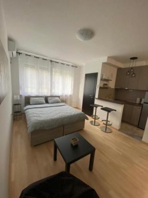 Vist 1 apartment